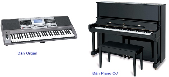 khác nhau giữa đàn organ và piano
