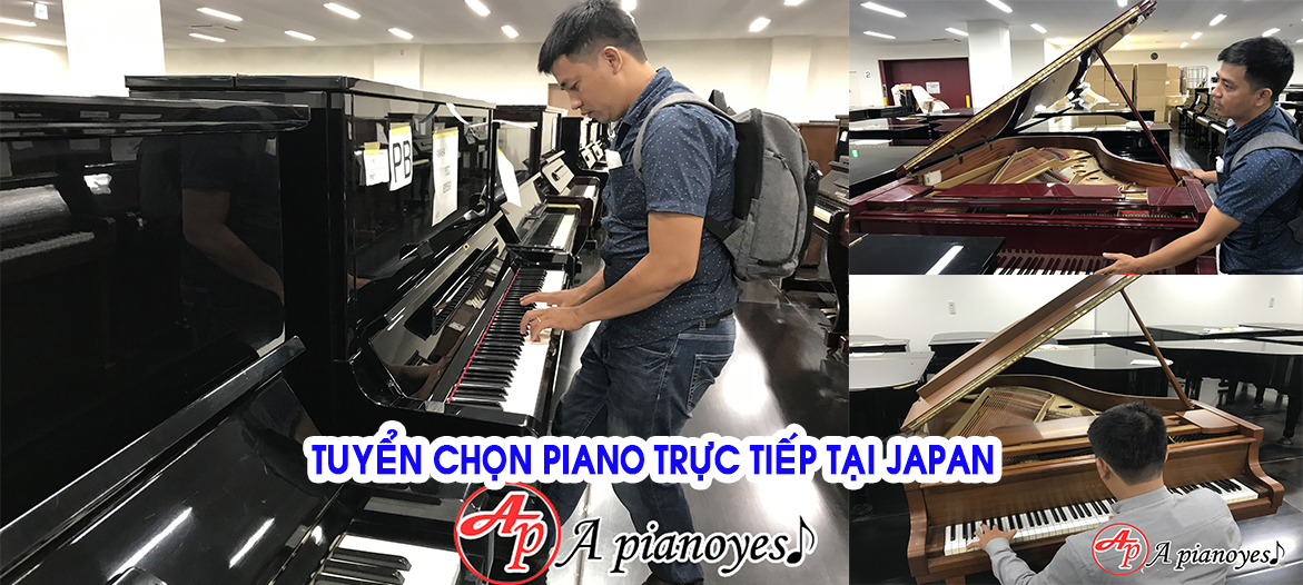 APIANOYES -Địa chỉ mua bán piano uy tín tpHCM