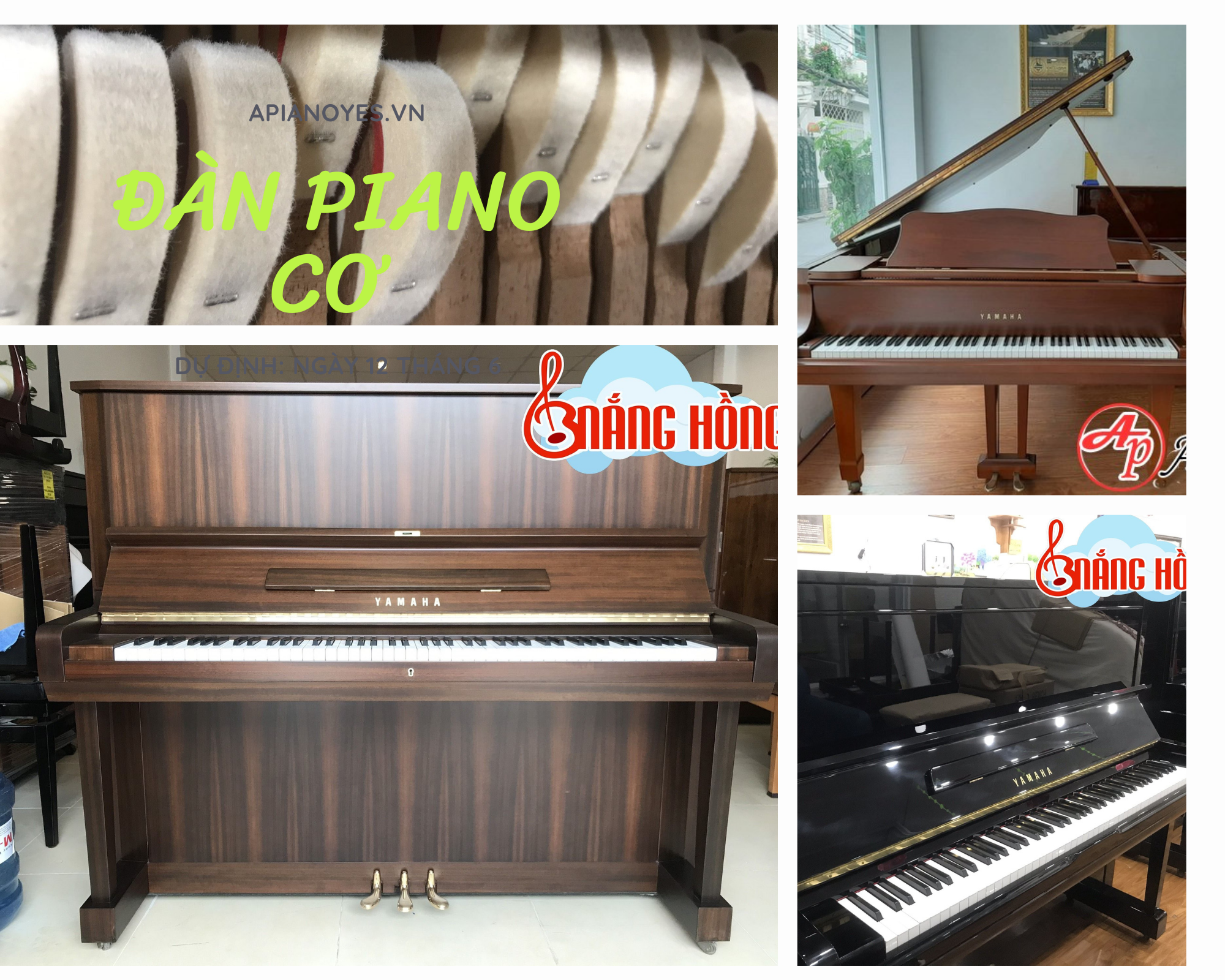 Hình ảnh 1 số loại đàn piano cơ