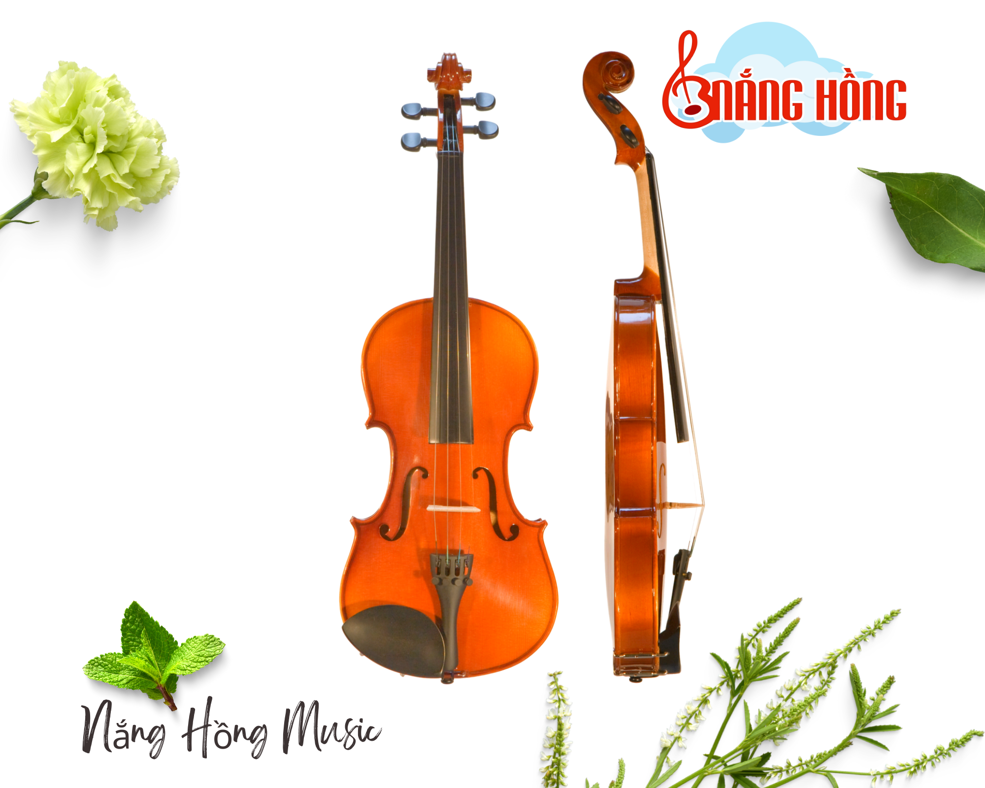 Nắng Hồng Music - violin